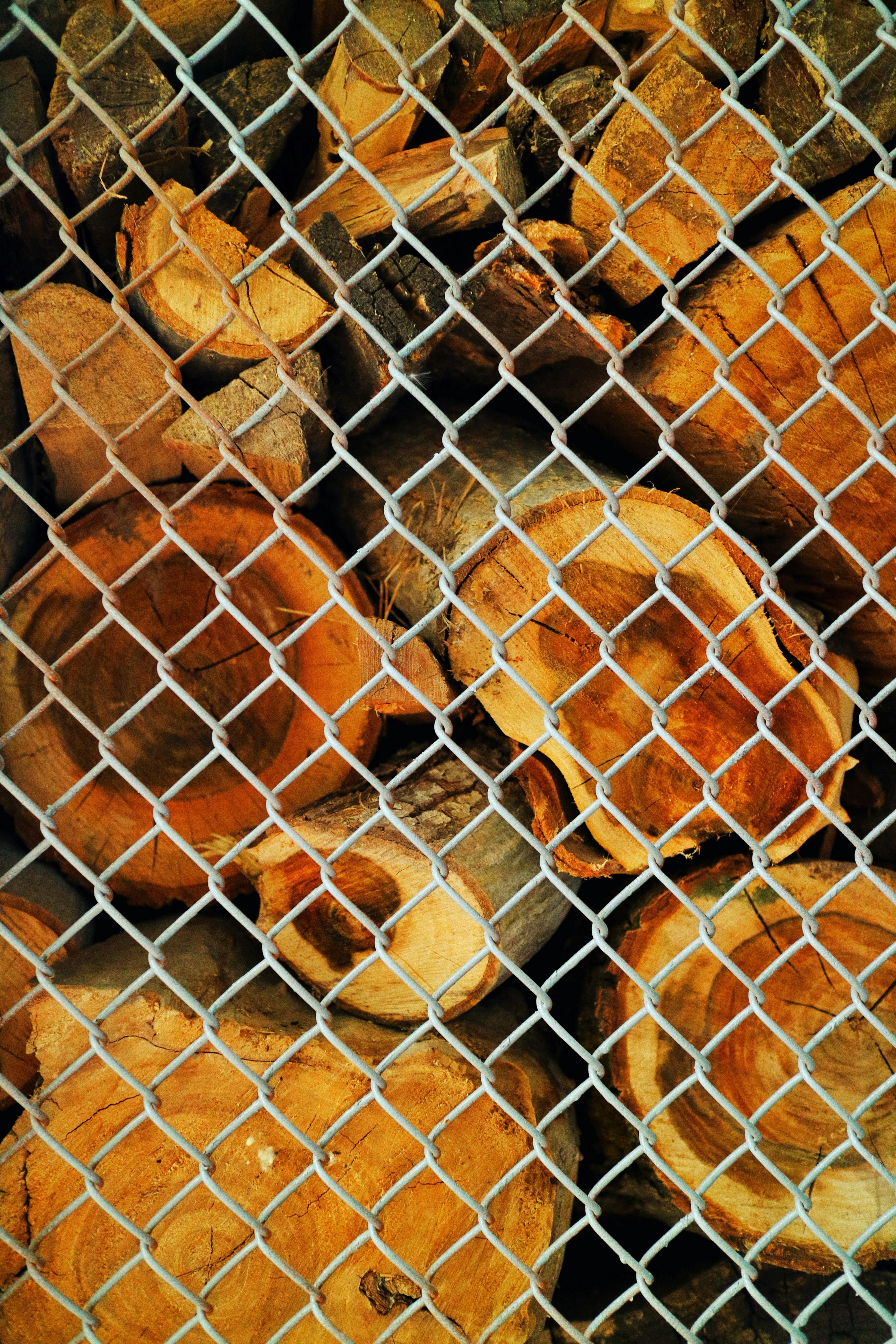 Hearty Spiced Chickpeas Bring Comfort in Every Bite